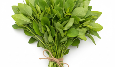 ملوخية خضراء